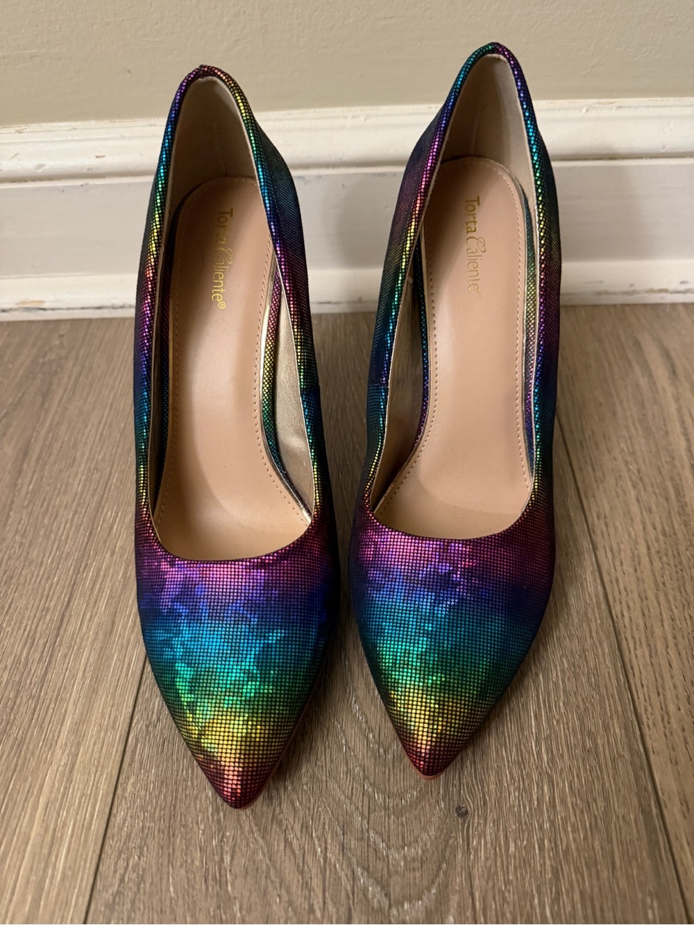Torrente Rainbow Ombre Pointed Toe Pumps - Multicolor